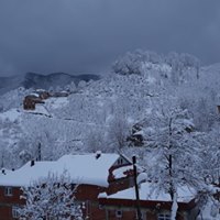 Tirebolu Danışman Köyü Resimleri 8