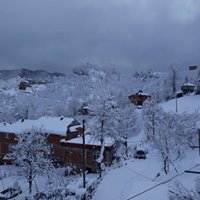 Tirebolu Danışman Köyü Resimleri 9