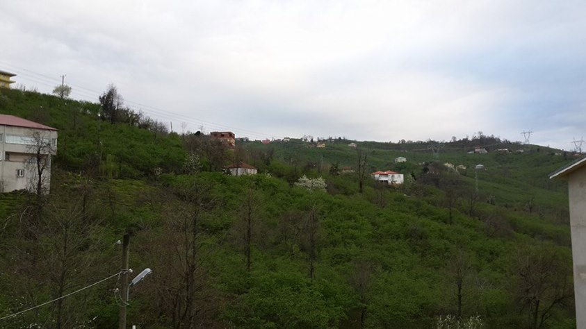 Tirebolu Düzköy Köyü Resimleri 1