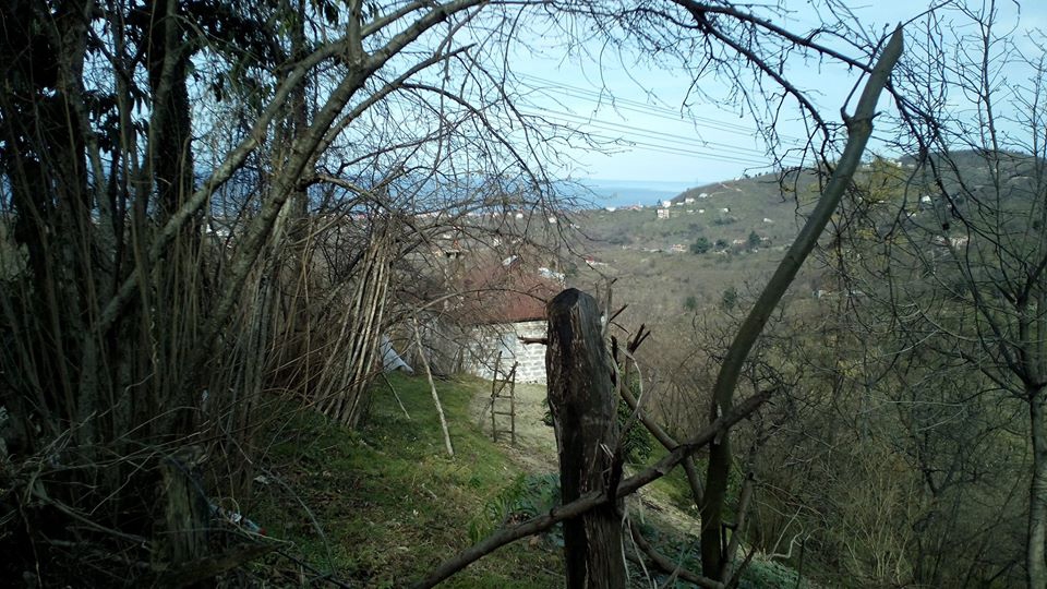 Tirebolu Düzköy Köyü Resimleri 2