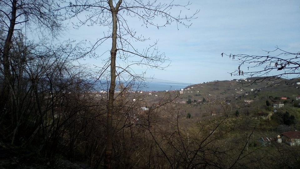 Tirebolu Düzköy Köyü Resimleri 3