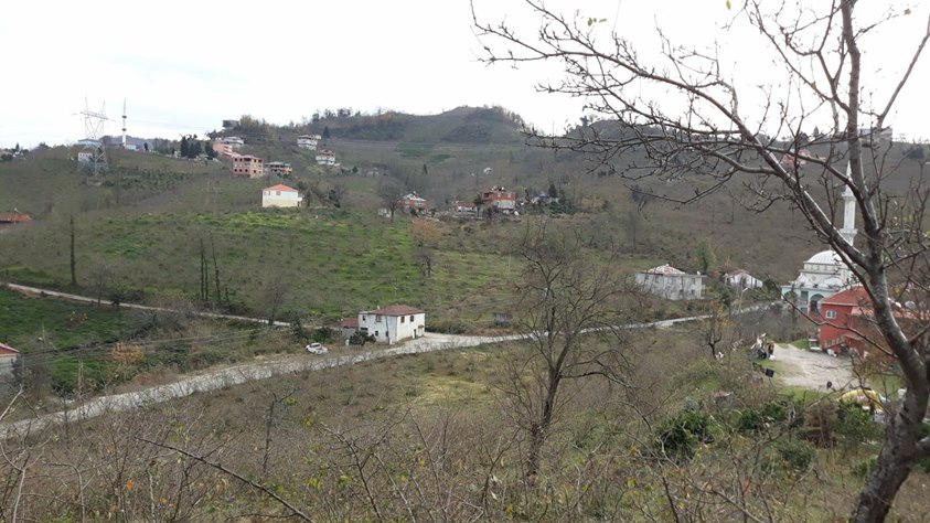 Tirebolu Düzköy Köyü Resimleri 5