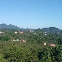 Tirebolu Hacıhüseyin Köyü Resimleri 10