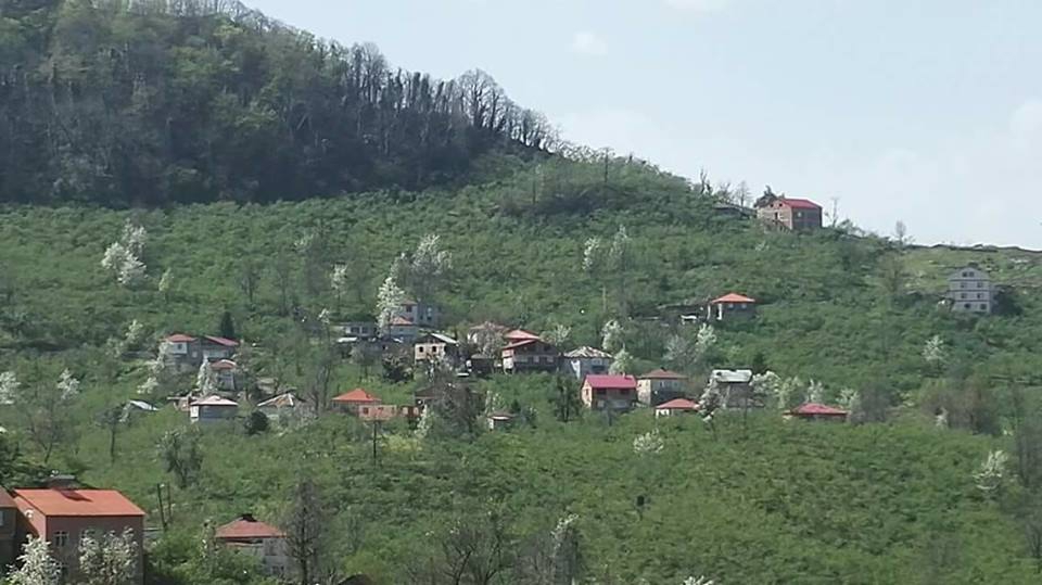 Tirebolu Hacıhüseyin Köyü Resimleri 6