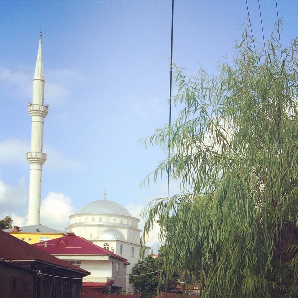 Tirebolu Karaahmetli Köyü Resimleri 10