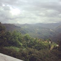 Tirebolu Karaahmetli Köyü Resimleri 13