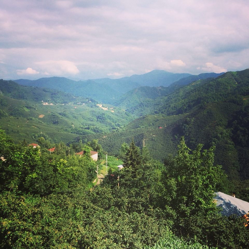 Tirebolu Karaahmetli Köyü Resimleri 14