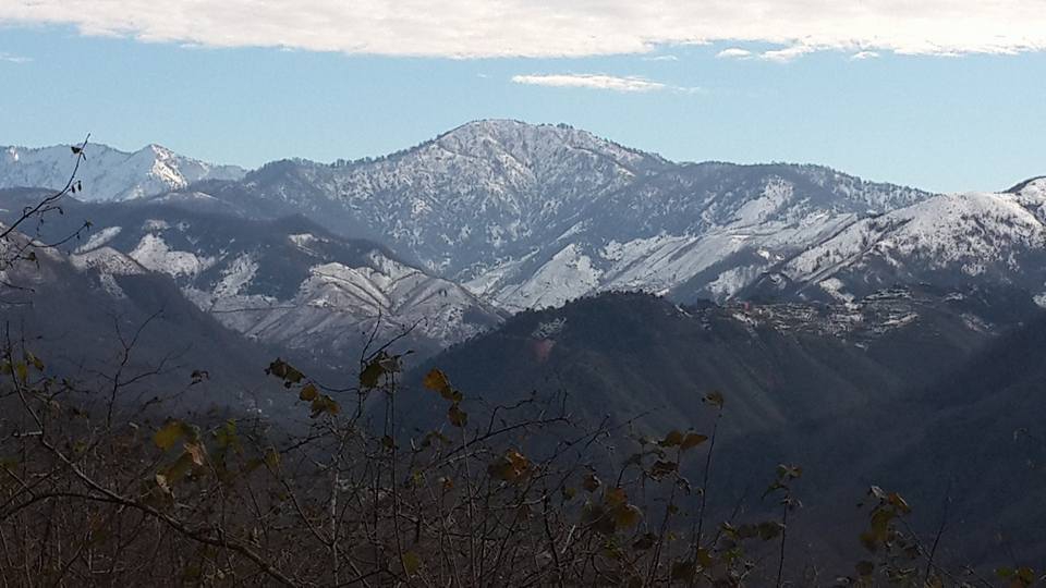 Tirebolu Karaahmetli Köyü Resimleri 16