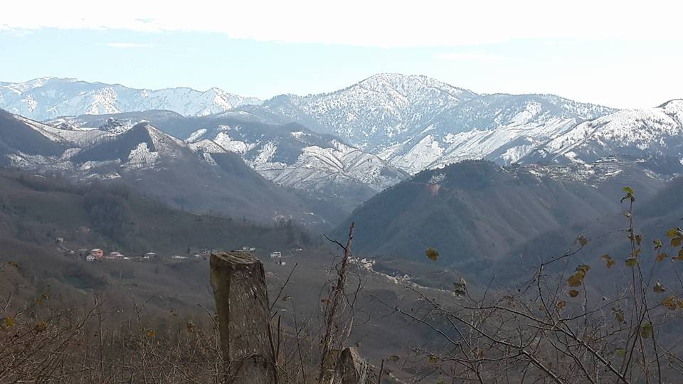 Tirebolu Karaahmetli Köyü Resimleri 17