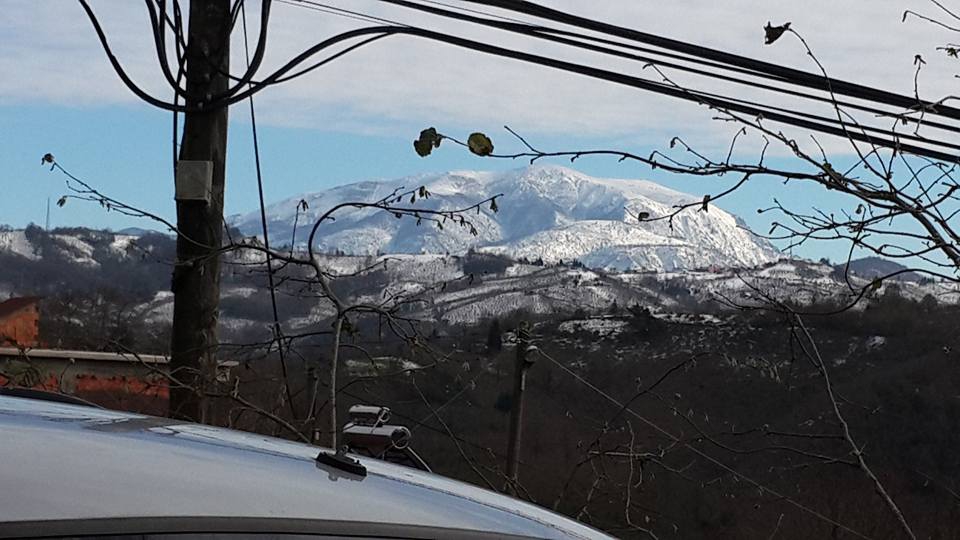 Tirebolu Karaahmetli Köyü Resimleri 18