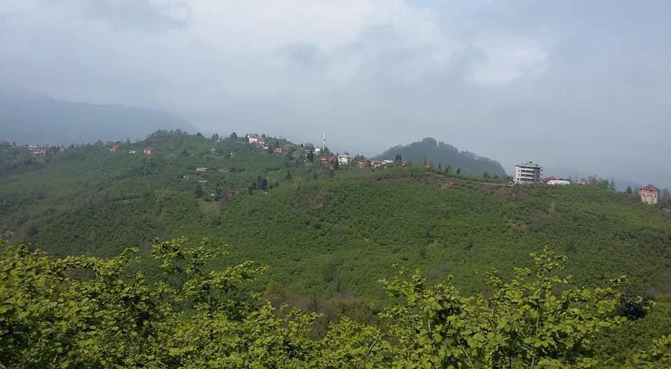 Tirebolu Karaahmetli Köyü Resimleri 22