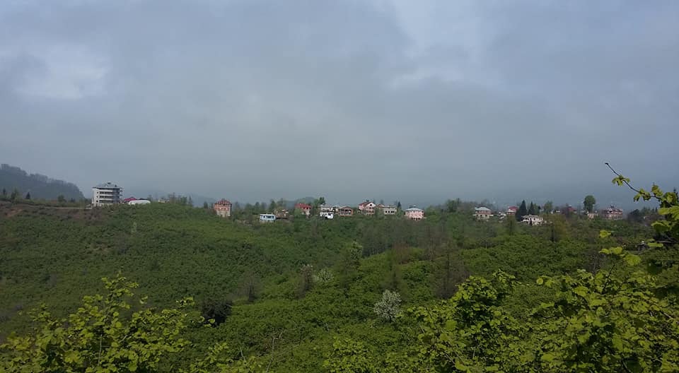 Tirebolu Karaahmetli Köyü Resimleri 23