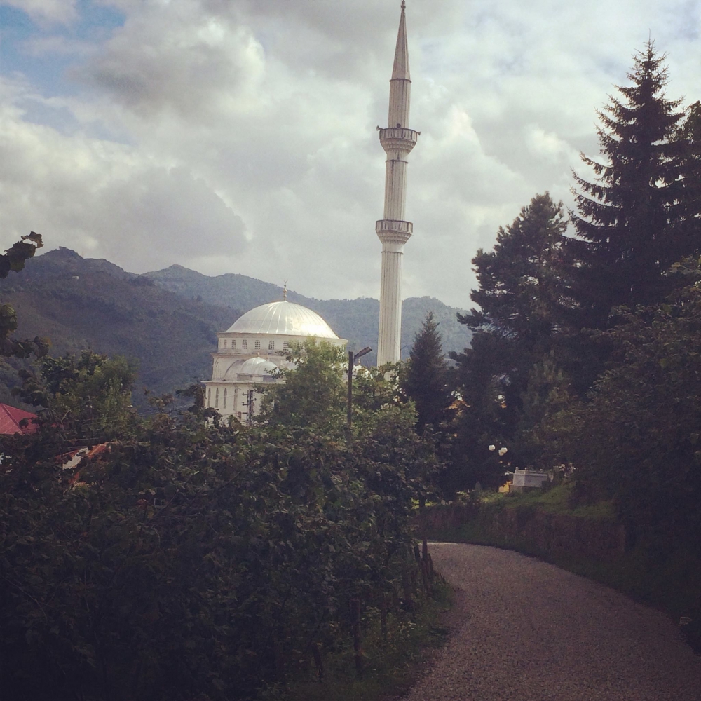 Tirebolu Karaahmetli Köyü Resimleri 7