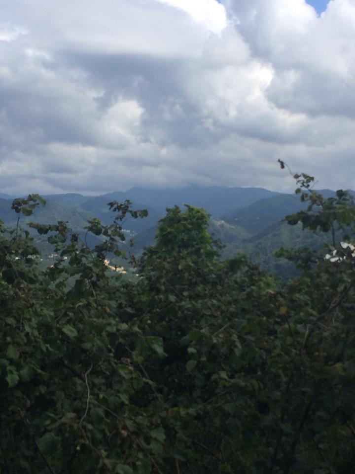 Tirebolu Karaahmetli Köyü Resimleri 9