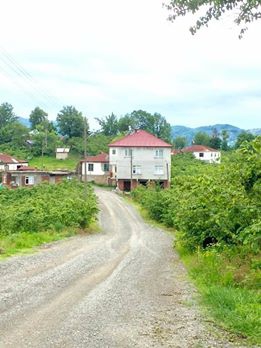 Tirebolu Kovapınar Köyü Resimleri 2