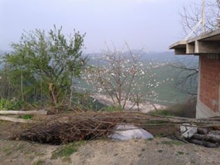 Tirebolu Köseler Köyü Resimleri 2