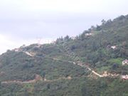 Tirebolu Kuzgun Köyü Resimleri 4