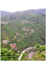 Tirebolu Kuzgun Köyü Resimleri 7