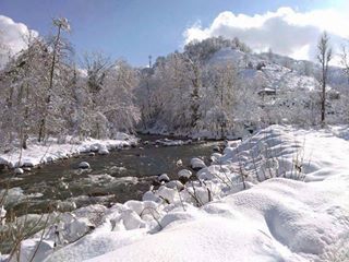 Tirebolu Menderes Köyü Resimleri 1