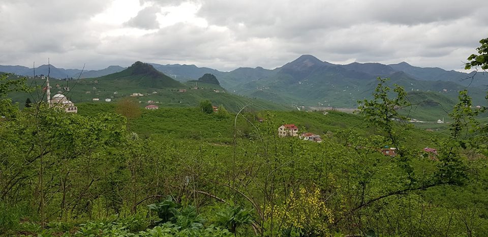 Tirebolu Menderes Köyü Resimleri 11