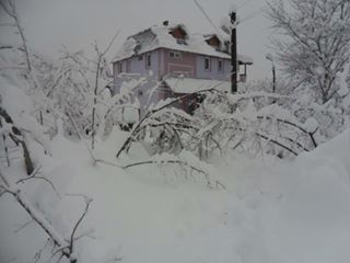Tirebolu Menderes Köyü Resimleri 4
