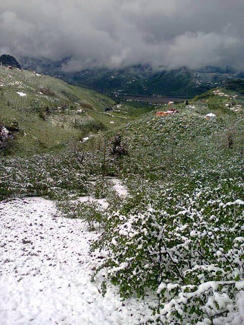 Tirebolu Menderes Köyü Resimleri 6