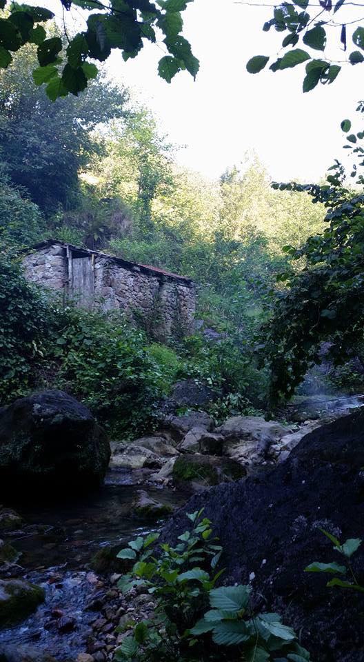 Tirebolu Menderes Köyü Resimleri 7