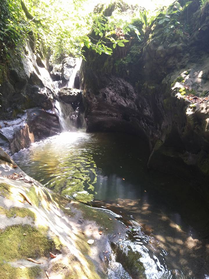 Tirebolu Menderes Köyü Resimleri 8