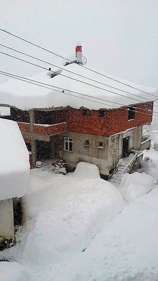 Tirebolu Mursal Köyü Resimleri 1