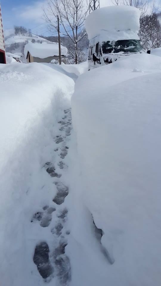 Tirebolu Mursal Köyü Resimleri 2