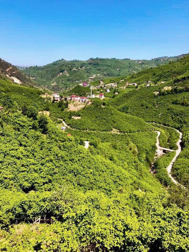 Tirebolu Mursal Köyü Resimleri 5