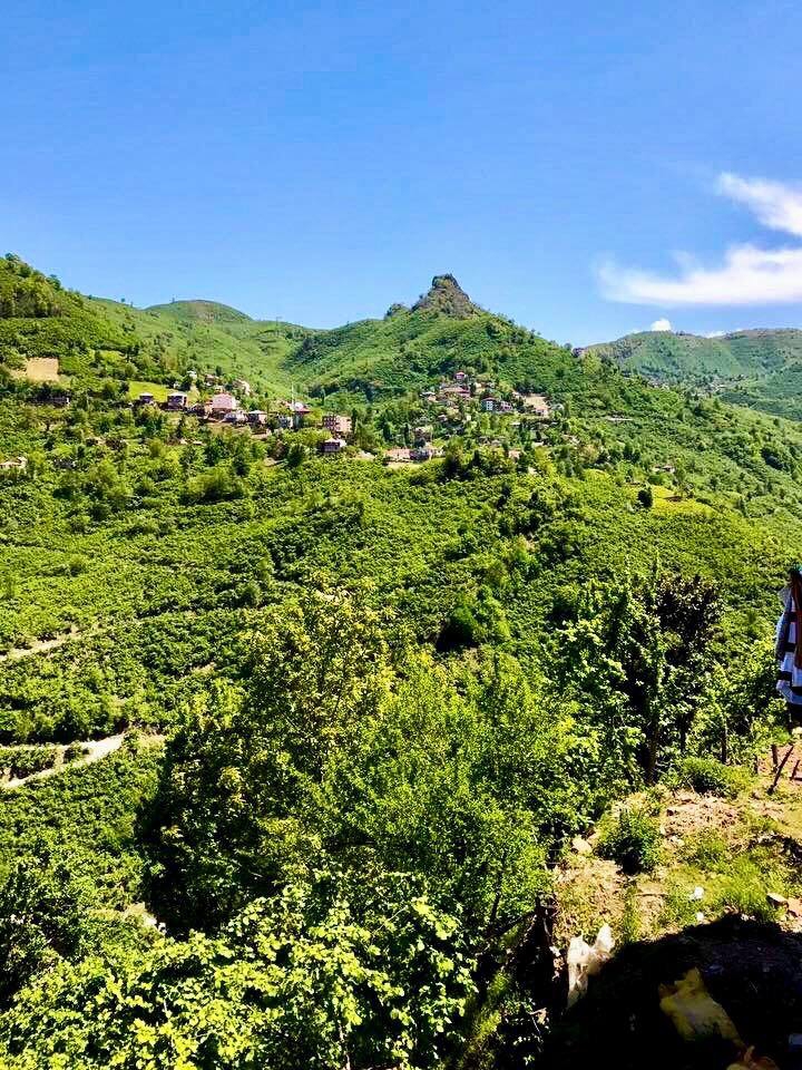 Tirebolu Mursal Köyü Resimleri 6