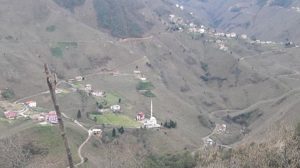 Tirebolu Mursal Köyü Resimleri 8