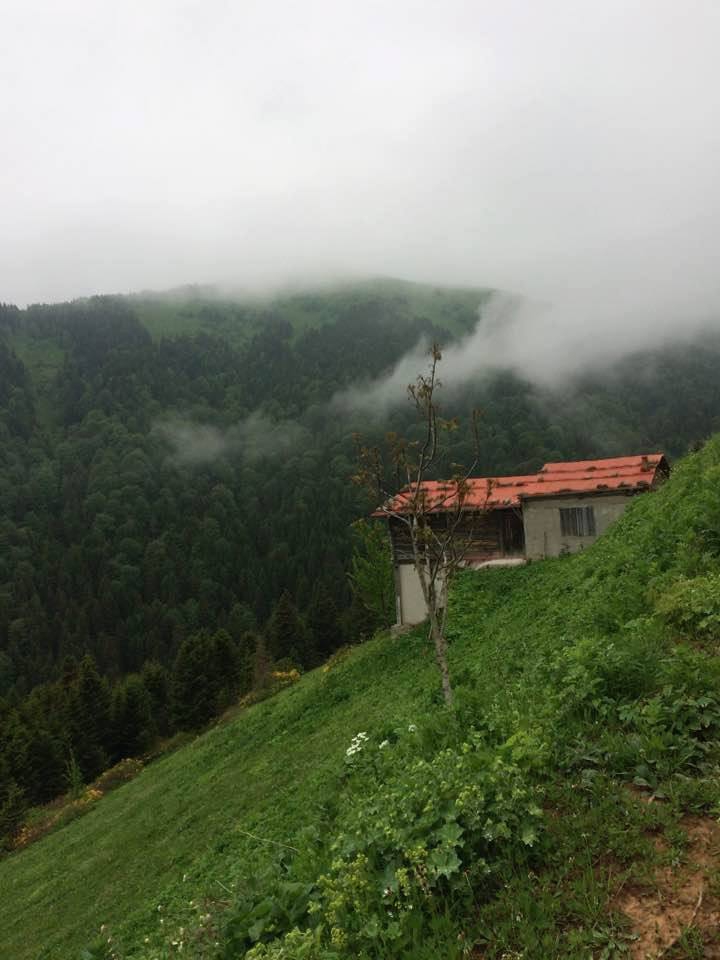 Çaykara Uzuntarla Köyü Resimleri 13