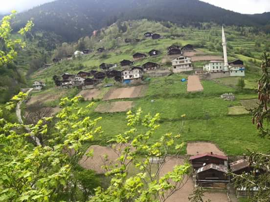 Çaykara Uzuntarla Köyü Resimleri 23