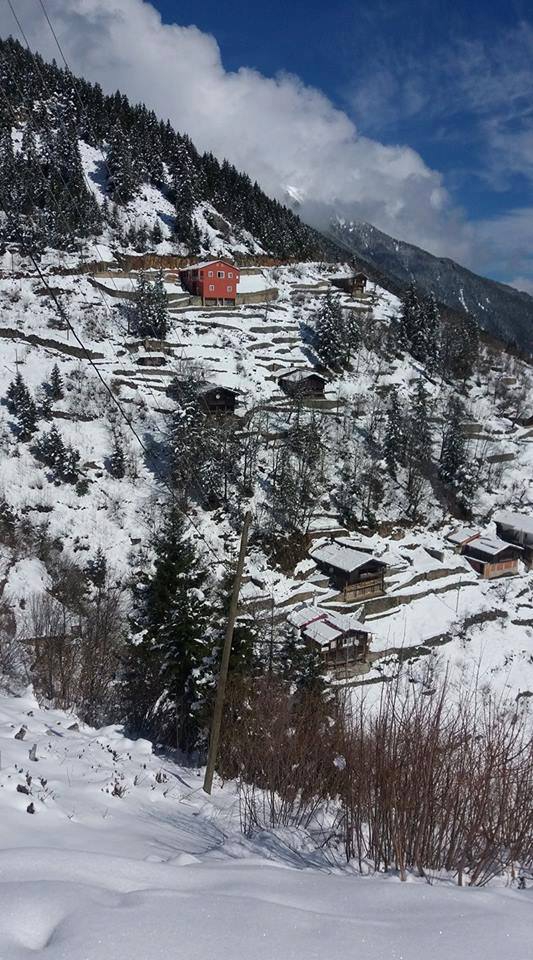 Çaykara Uzuntarla Köyü Resimleri 24