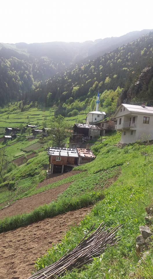 Çaykara Uzuntarla Köyü Resimleri 37