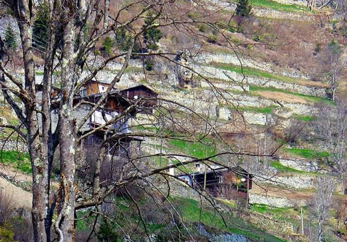 Çaykara Uzuntarla Köyü Resimleri 6