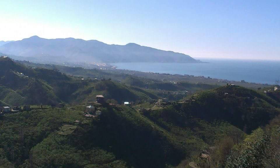 Tirebolu Ortaköy Köyü Resimleri 1