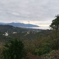 Tirebolu Ortaköy Köyü Resimleri 12