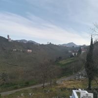 Tirebolu Ortaköy Köyü Resimleri 13