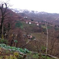 Tirebolu Ortaköy Köyü Resimleri 15