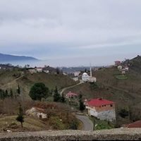 Tirebolu Ortaköy Köyü Resimleri 16