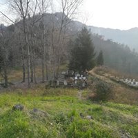 Tirebolu Ortaköy Köyü Resimleri 17