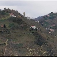 Tirebolu Ortaköy Köyü Resimleri 18