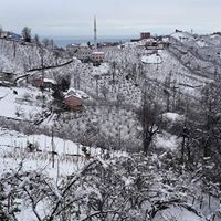 Tirebolu Ortaköy Köyü Resimleri 19