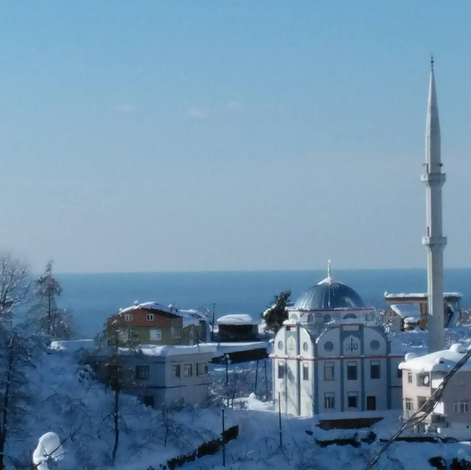 Tirebolu Ortaköy Köyü Resimleri 2
