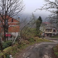 Tirebolu Ortaköy Köyü Resimleri 21