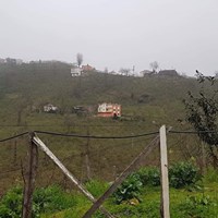 Tirebolu Ortaköy Köyü Resimleri 22