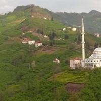 Tirebolu Ortaköy Köyü Resimleri 23